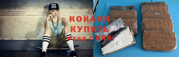 шишки Переславль-Залесский