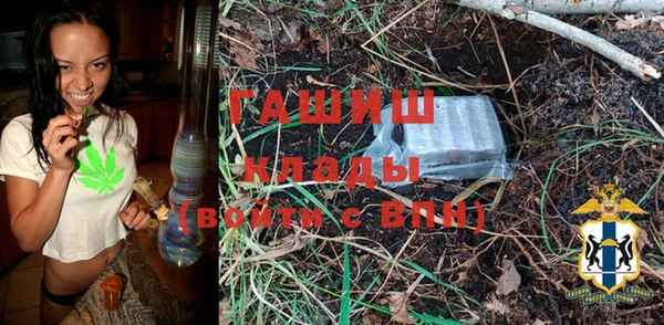 шишки Переславль-Залесский