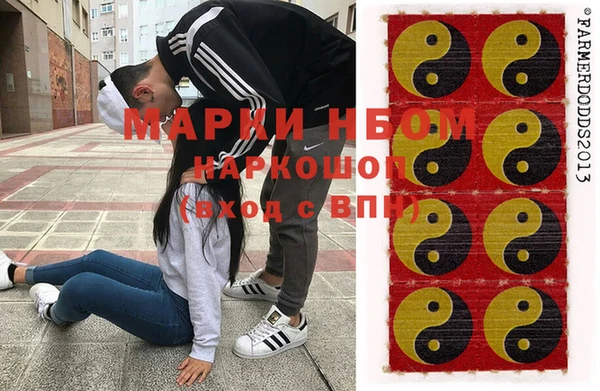 шишки Переславль-Залесский