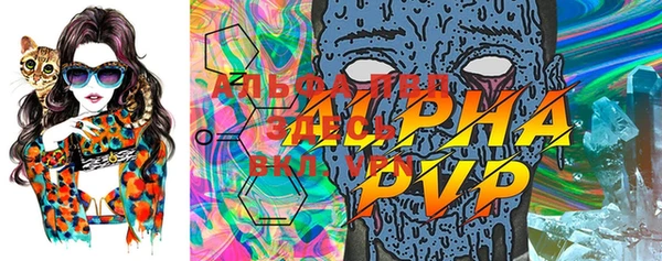 спайс Пересвет