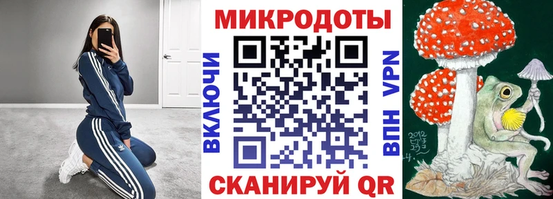 Купить где Королёв Галлюциногенные грибы Psilocybe